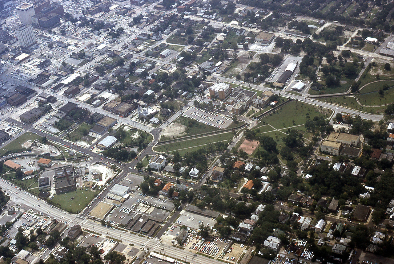 THE JAXSON | The oak tree that remembers Black Bottom — Jacksonville Today, Beaumont Schools news